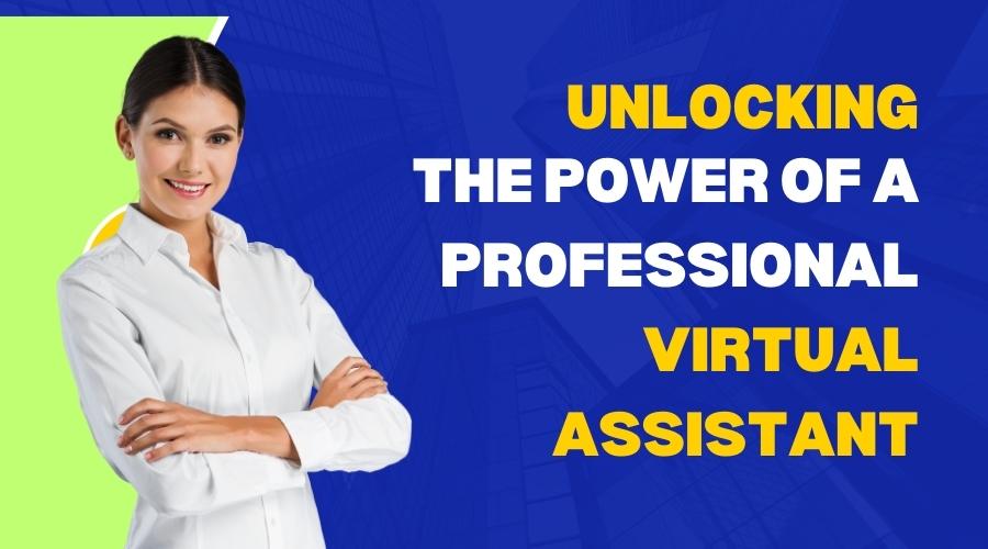 Professional Virtual Assistant